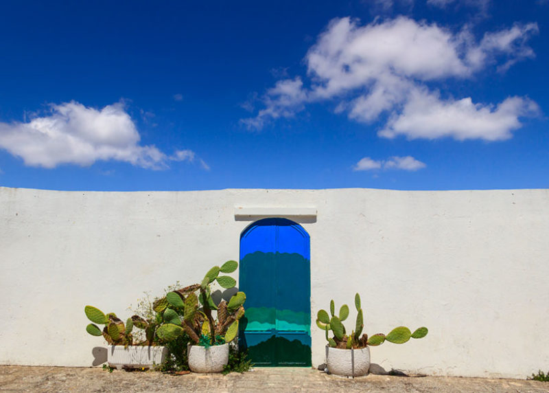 blue door with prickly pear and the traditional white wall in the town of Ostuni, Puglia