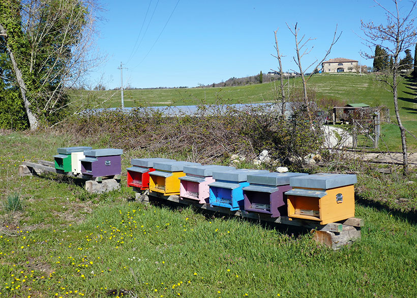 colourful beekeeping hives in tuscany