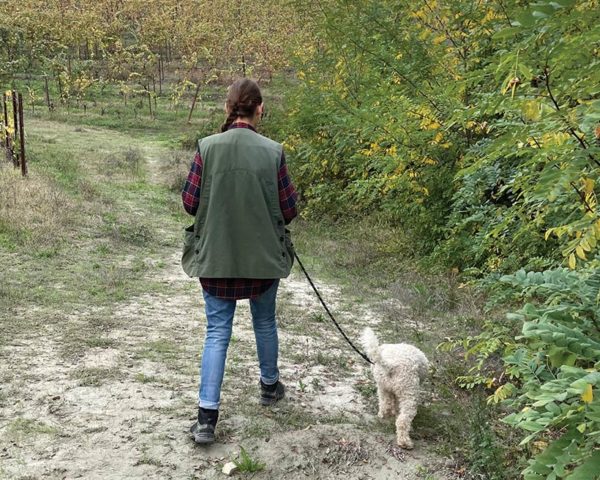 Truffle hunting in Le Langhe