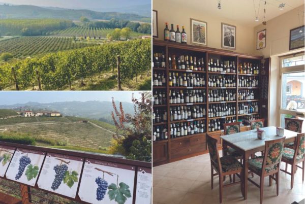 Wines and vineyards of barolo and barbaresco