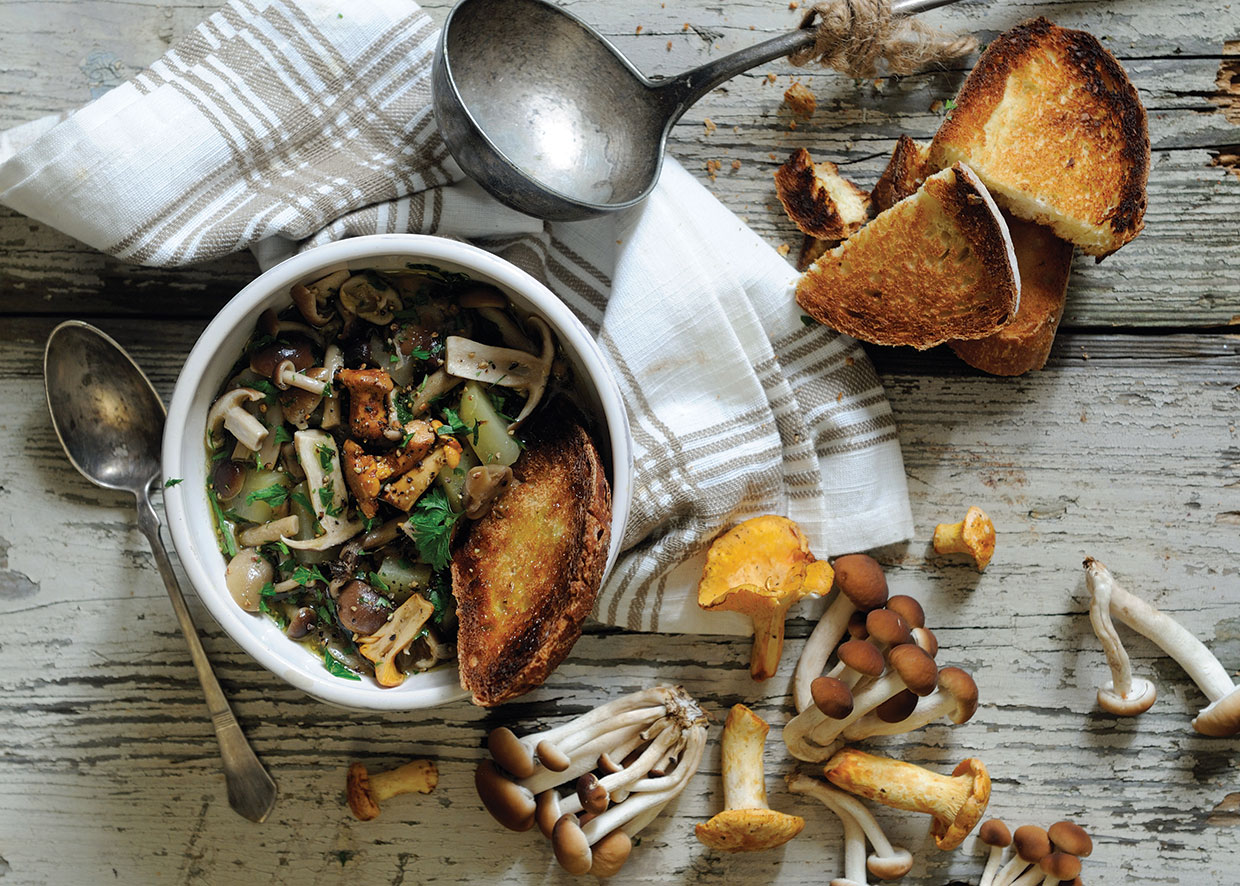 Mixed Wild Mushroom Soup