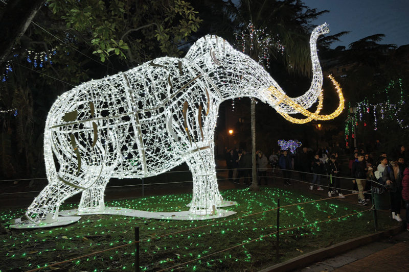 Elephant illumination