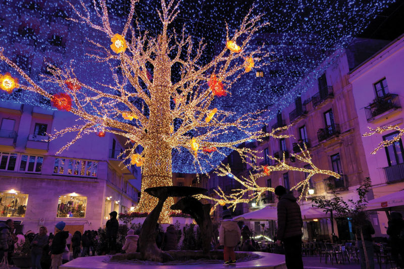 Piazza Flavio Gioia Tree of Life illumination