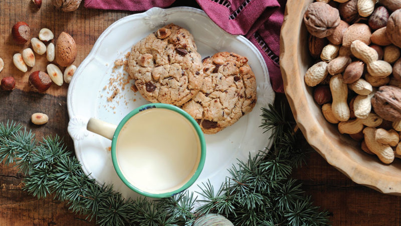 hazelnut almond and chocolate biscuits